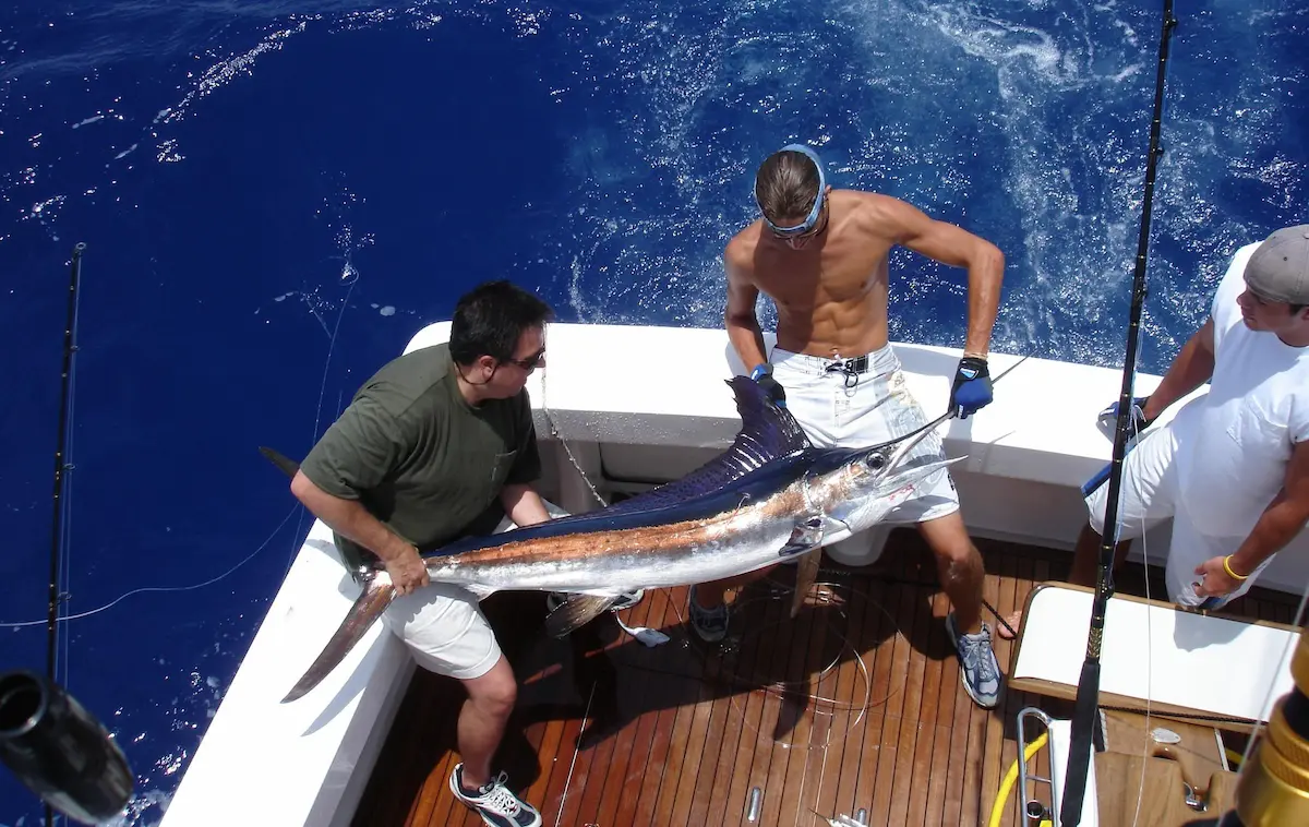 Fishing3
